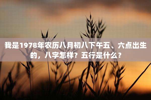我是1978年农历八月初八下午五、六点出生的，八字怎样？五行是什么？