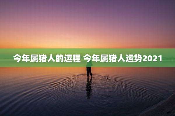 今年属猪人的运程 今年属猪人运势2021