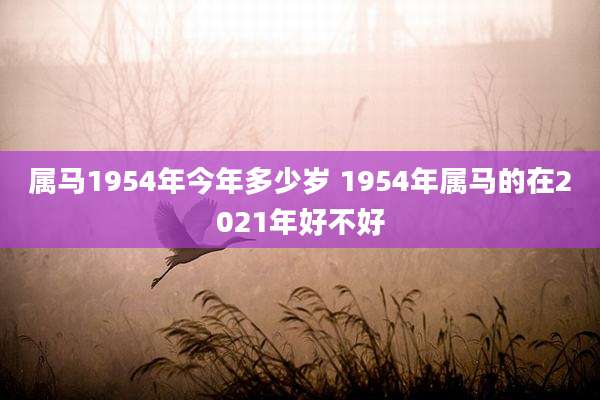 属马1954年今年多少岁 1954年属马的在2021年好不好