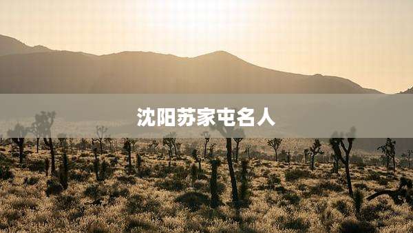 沈阳苏家屯名人
