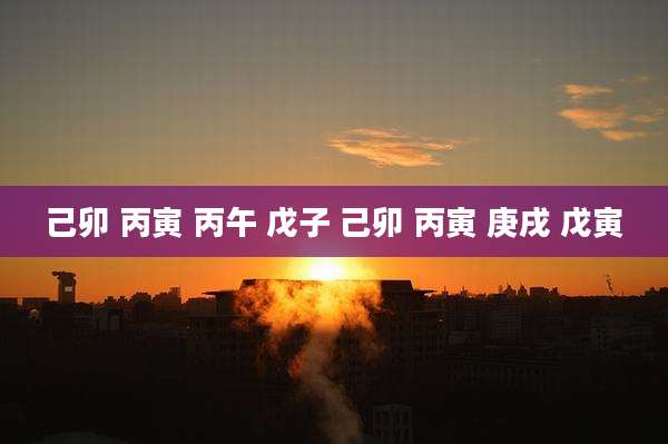 己卯 丙寅 丙午 戊子 己卯 丙寅 庚戌 戊寅