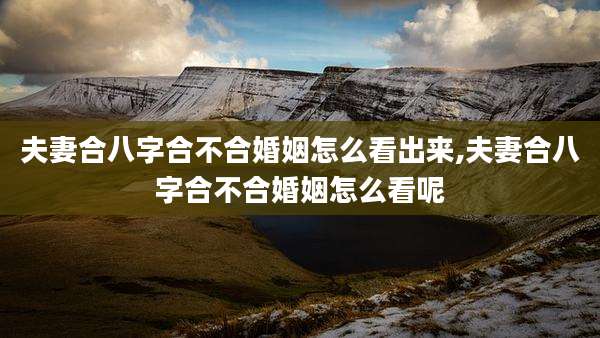 夫妻合八字合不合婚姻怎么看出来,夫妻合八字合不合婚姻怎么看呢