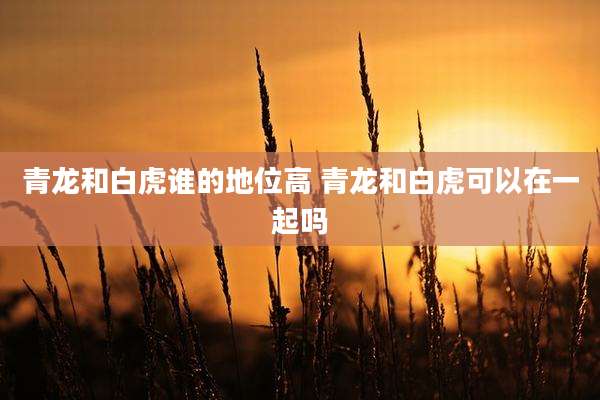 青龙和白虎谁的地位高 青龙和白虎可以在一起吗