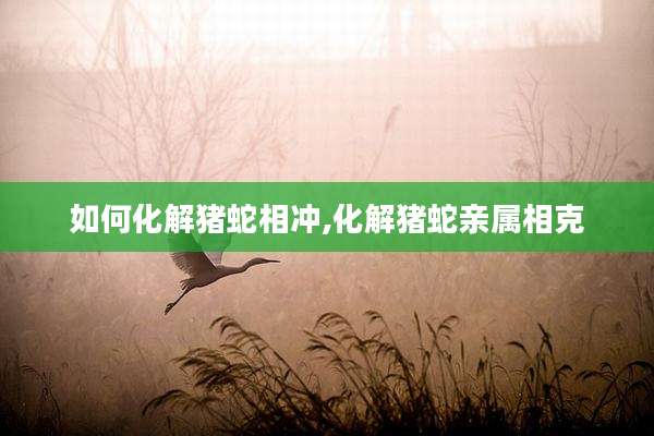 如何化解猪蛇相冲,化解猪蛇亲属相克