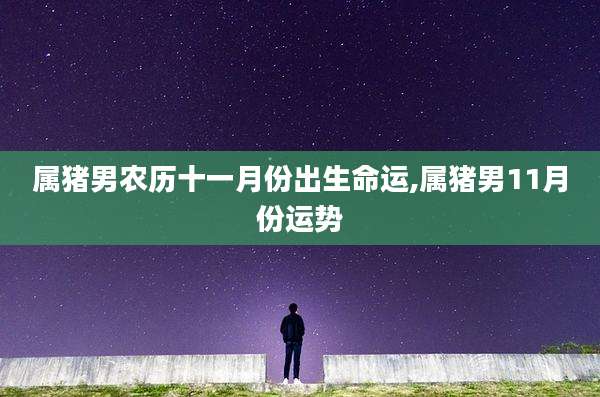 属猪男农历十一月份出生命运,属猪男11月份运势