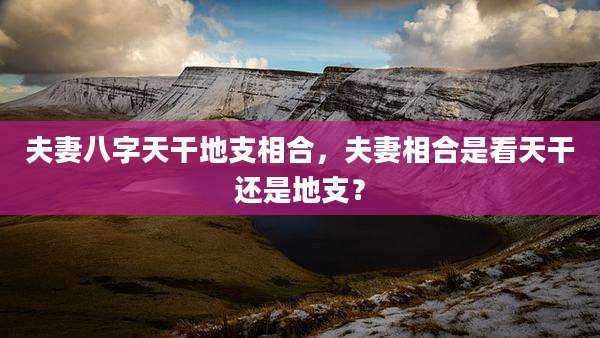 夫妻八字天干地支相合，夫妻相合是看天干还是地支？