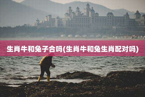 生肖牛和兔子合吗(生肖牛和兔生肖配对吗)