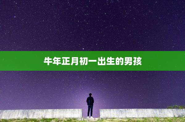 牛年正月初一出生的男孩