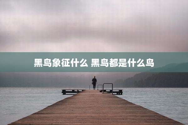 黑鸟象征什么 黑鸟都是什么鸟