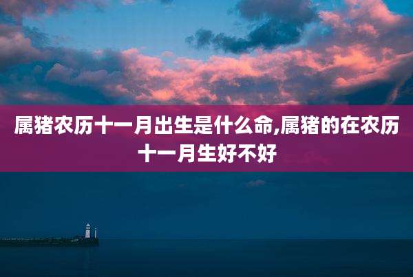 属猪农历十一月出生是什么命,属猪的在农历十一月生好不好