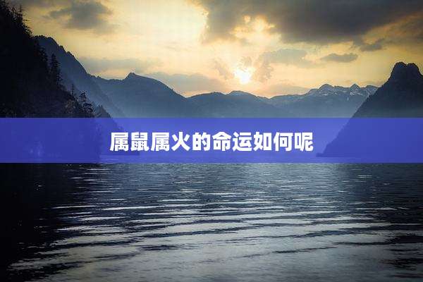 属鼠属火的命运如何呢