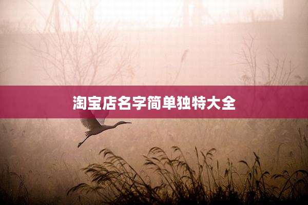 淘宝店名字简单独特大全