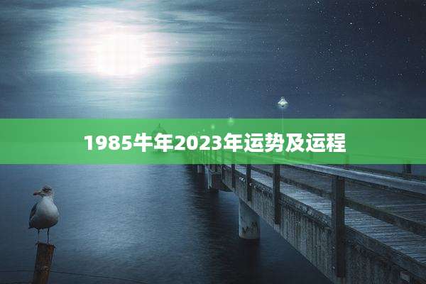 1985牛年2023年运势及运程