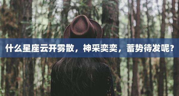 什么星座云开雾散,神采奕奕,蓄势待发呢?