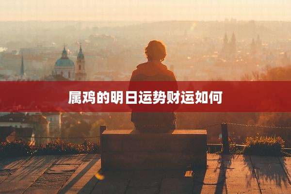 属鸡的明日运势财运如何