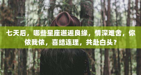 七天后,哪些星座邂逅良缘,情深难舍,你侬我侬,喜结连理,共赴白头?
