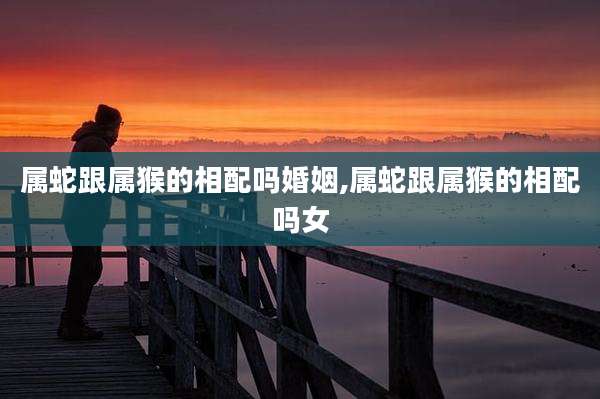属蛇跟属猴的相配吗婚姻,属蛇跟属猴的相配吗女