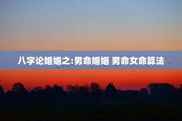 八字论婚姻之:男命婚姻 男命女命算法