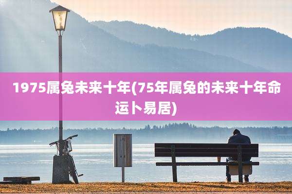 1975属兔未来十年(75年属兔的未来十年命运卜易居)
