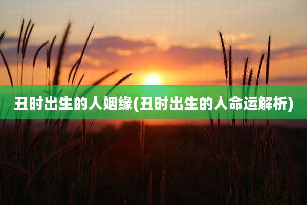 丑时出生的人姻缘(丑时出生的人命运解析)