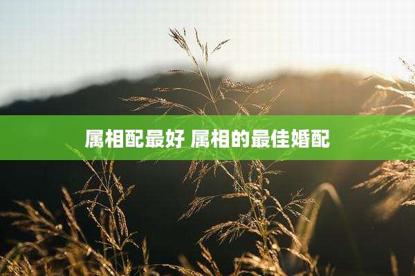 属相配最好 属相的最佳婚配