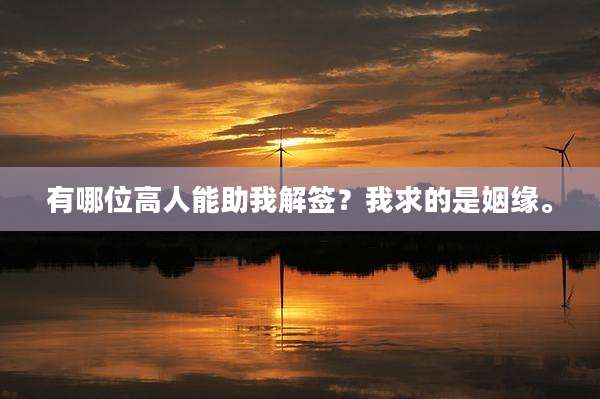 有哪位高人能助我解签？我求的是姻缘。