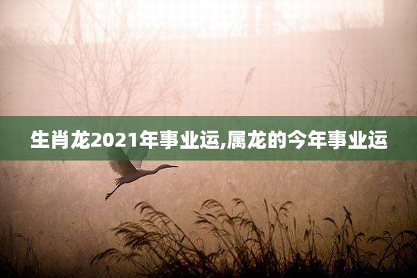 生肖龙2021年事业运,属龙的今年事业运