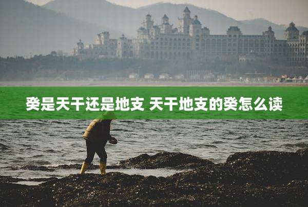 癸是天干还是地支 天干地支的癸怎么读