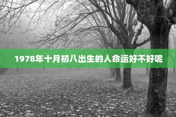 1978年十月初八出生的人命运好不好呢