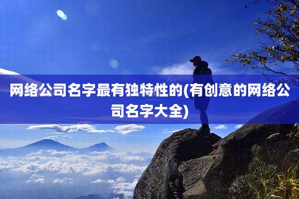网络公司名字最有独特性的(有创意的网络公司名字大全)