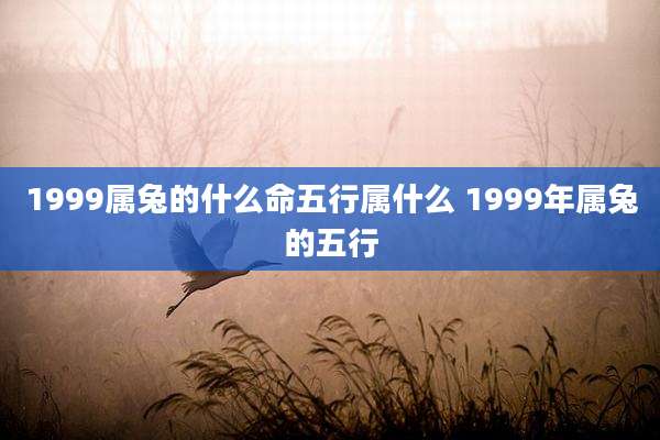 1999属兔的什么命五行属什么 1999年属兔的五行