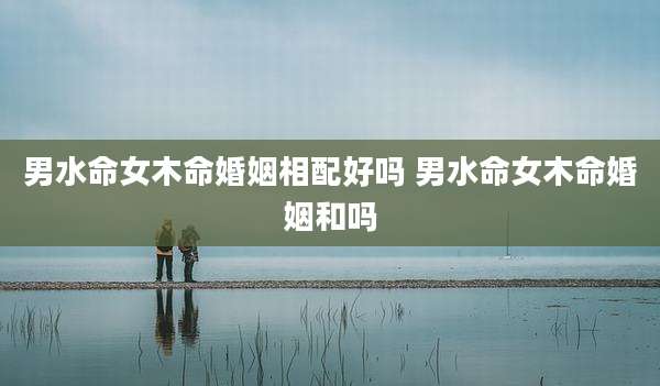 男水命女木命婚姻相配好吗 男水命女木命婚姻和吗