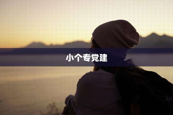 小个专党建