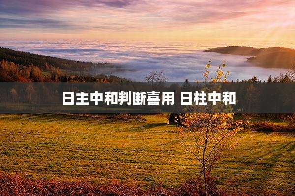 日主中和判断喜用 日柱中和