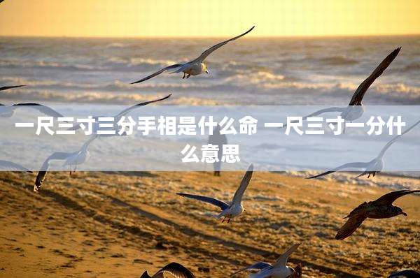 一尺三寸三分手相是什么命 一尺三寸一分什么意思