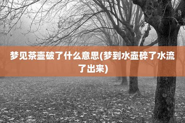 梦见茶壶破了什么意思(梦到水壶碎了水流了出来)