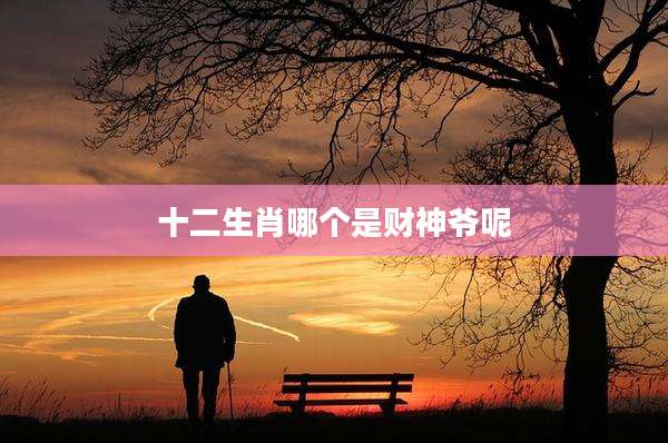 十二生肖哪个是财神爷呢