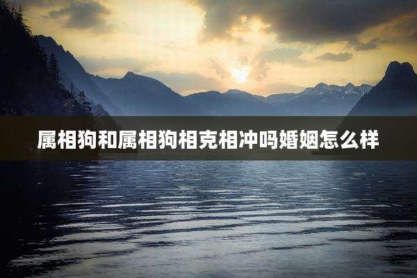 属相狗和属相狗相克相冲吗婚姻怎么样