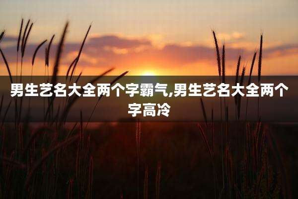 男生艺名大全两个字霸气,男生艺名大全两个字高冷