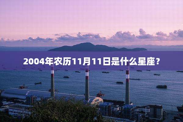 2004年农历11月11日是什么星座？