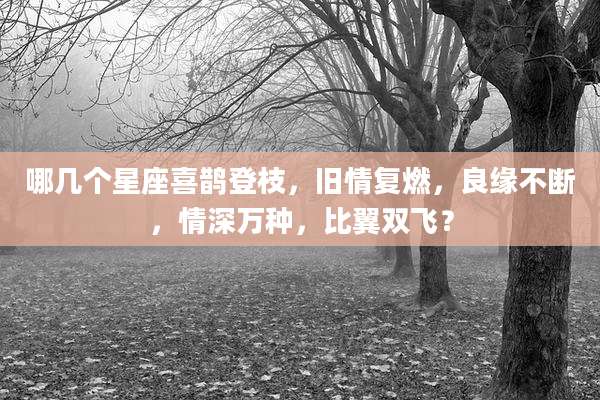 哪几个星座喜鹊登枝，旧情复燃，良缘不断，情深万种，比翼双飞？