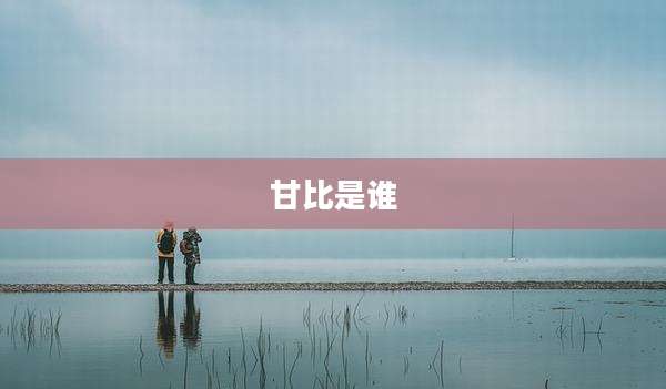甘比是谁