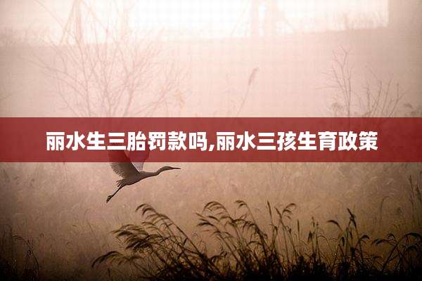 丽水生三胎罚款吗,丽水三孩生育政策