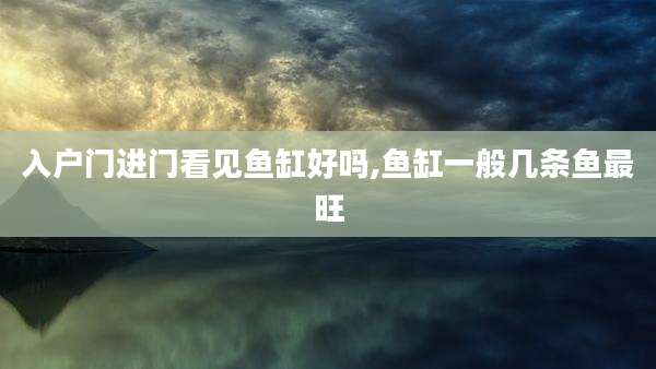 入户门进门看见鱼缸好吗,鱼缸一般几条鱼最旺