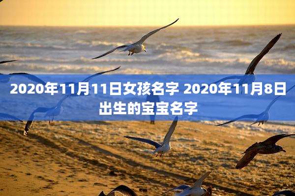 2020年11月11日女孩名字 2020年11月8日出生的宝宝名字