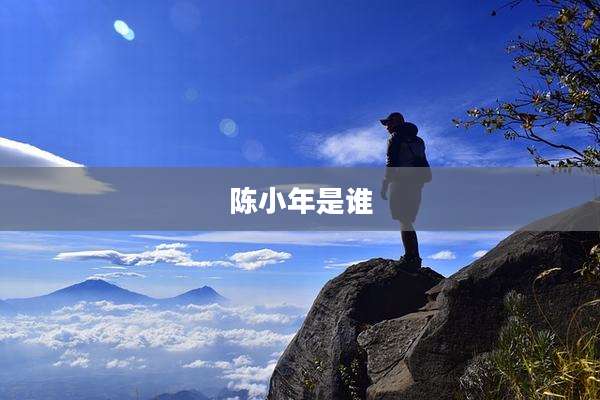 陈小年是谁
