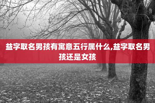 益字取名男孩有寓意五行属什么,益字取名男孩还是女孩
