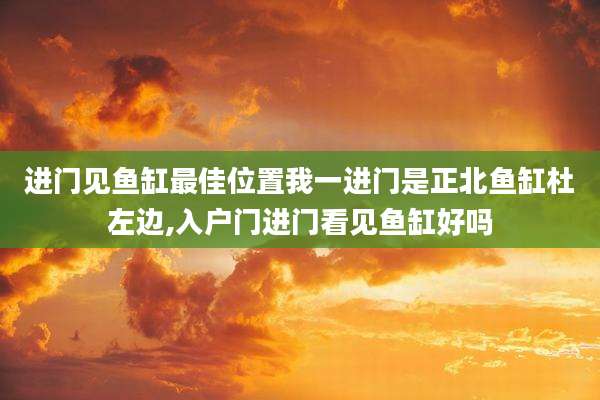 进门见鱼缸最佳位置我一进门是正北鱼缸杜左边,入户门进门看见鱼缸好吗