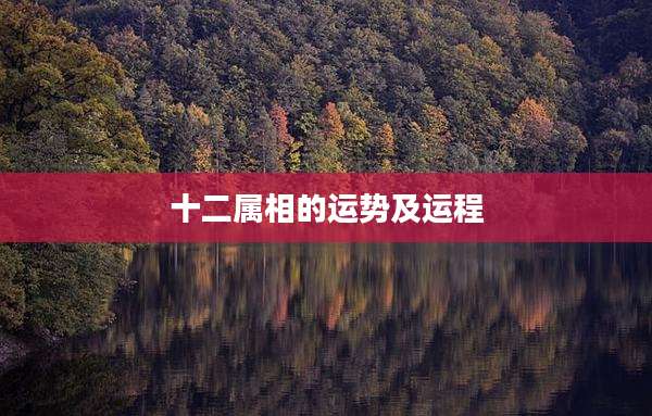 十二属相的运势及运程