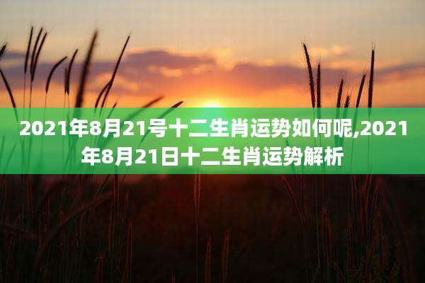 2021年8月21号十二生肖运势如何呢,2021年8月21日十二生肖运势解析